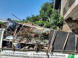 Professional Junk Removal Services in Avon, CO